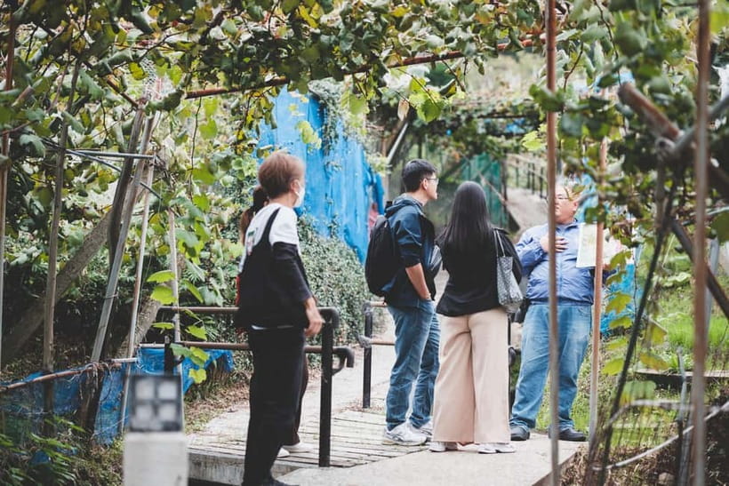 Osaka Winery Tour with Wine Tasting & Vineyard Walk - What to expect from the guide: stories that connect wine to place