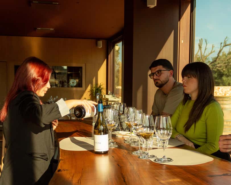 Ostuni's organic wines – tour and tasting in the winery - Quick Key Points Before You Go