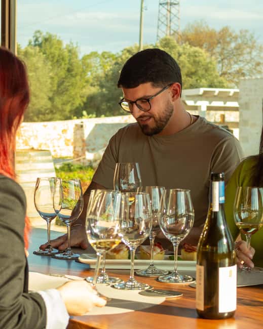 Ostuni's organic wines – tour and tasting in the winery - Inside the Winery: Eco-Friendly Tech Meets Old-Vine Meaning