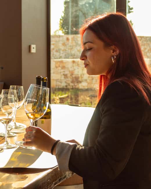 Ostuni's organic wines – tour and tasting in the winery - What You’re Really Paying For at $65
