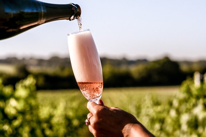 Owners vineyard tour and tasting at Oastbrook - When this tour makes the most sense (and who might want something else)