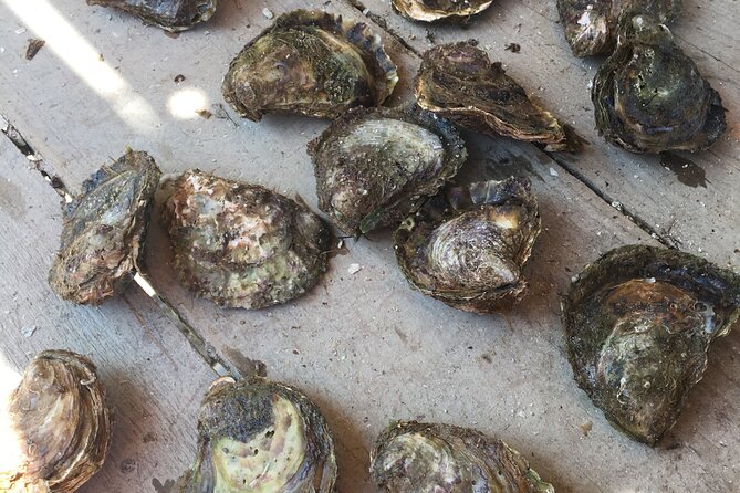 Oyster Farm, Ston and Winery Tour - Ston free time: walls, salt tradition, and a quick taste of history