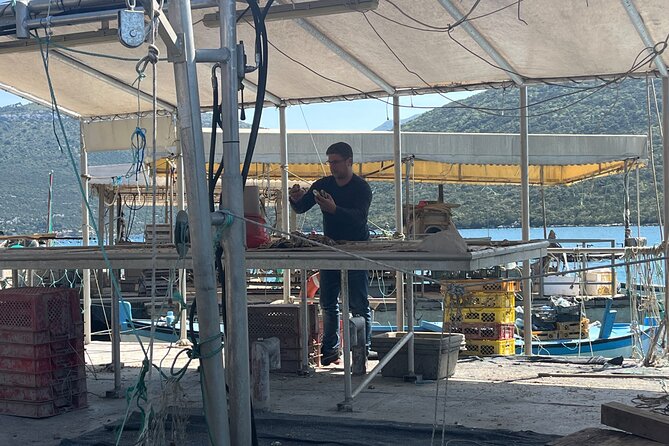 Oyster Farm, Ston and Winery Tour - How the pairing lesson works (and why it’s more than drinking)
