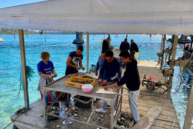 Oyster Farm, Ston and Winery Tour - Small-group touring: why a max of 8 feels better
