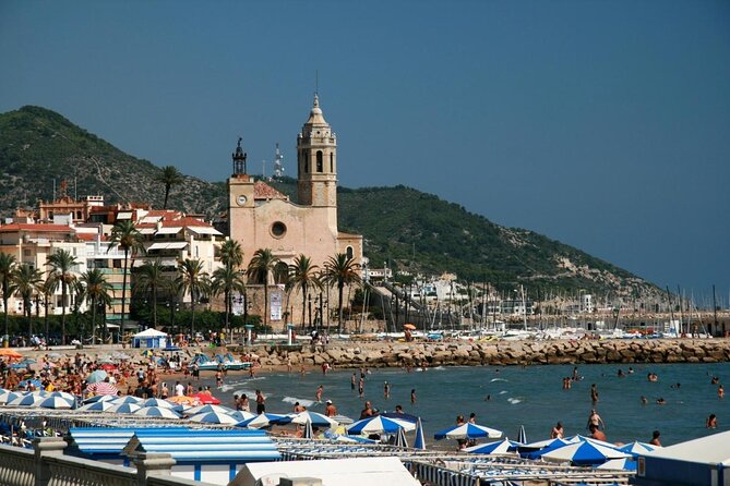 Paella Class, Winery & Bike Ride - Free Hotel Pickup from Sitges - The vineyard bike ride near Vilafranca del Penedès: scenery you actually move through