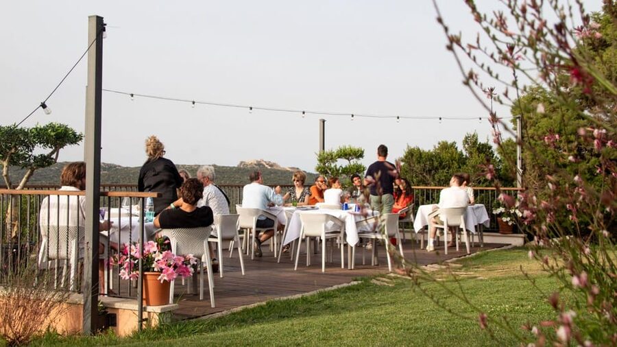 Palau: wine tasting in a Gallura winery - Who this is for (and who should skip)