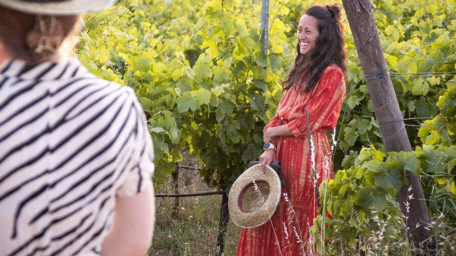 Palau: wine tasting in a Gallura winery - Sea views, granite rocks, and that Gallura mood