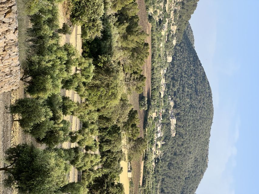 Palma: Orange Farm, Olive Mill, & Winery Tour with Tastings - A day built around Mallorca’s three signature crops