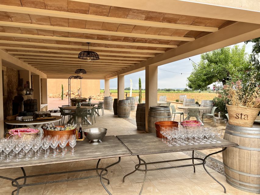 Palma: Orange Farm, Olive Mill, & Winery Tour with Tastings - The winery visit: guided tour + tasting 3 wines