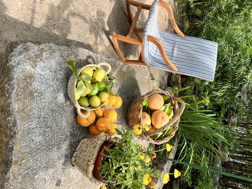 Palma: Orange Farm, Olive Mill, & Winery Tour with Tastings - Pickup and getting into Tramuntana country