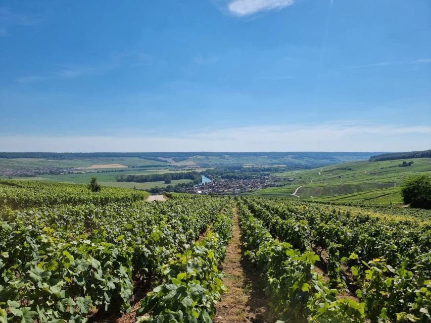 Paris: Private Epernay Trip with Champagne Vineyard Tastings - Key highlights worth your attention