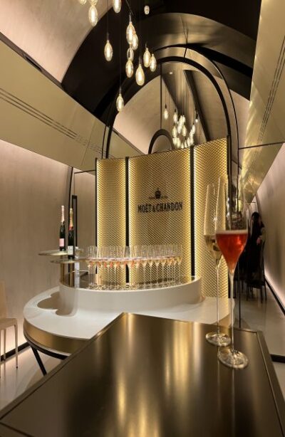 Paris: Private Epernay Trip with Champagne Vineyard Tastings - The drive out of Paris: what your guide sets up