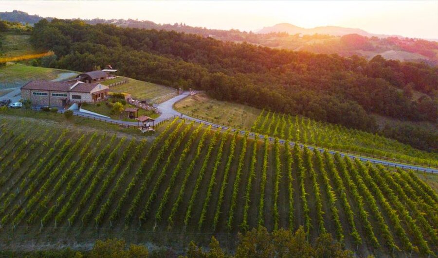 Parma: Winery Tour and tasting - Van Pickup at NH Parma: Your Day Starts Off Simple