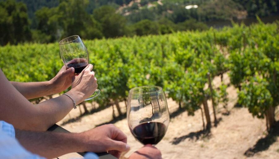 Parma: Winery Tour and tasting - The 1.5-Hour Program in Salsomaggiore Terme: Guided Tour, Tastings, and Shopping Time
