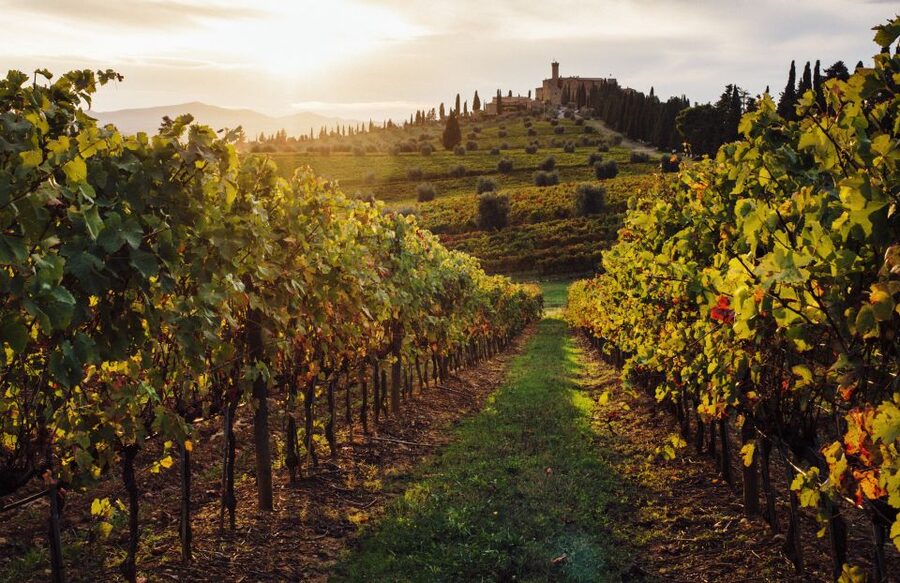 Parma: Winery Tour and tasting - Booking Tips: Make the Day Go Smoothly