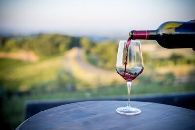 Parma Winery Tour, Wine Tasting & Local Delicacies with Transfer - Vineyard Walk: learning local grapes on the spot