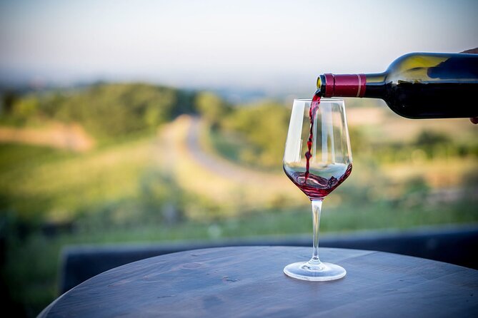 Parma Winery Tour, Wine Tasting & Local Delicacies with Transfer - Vineyard Walk: learning local grapes on the spot