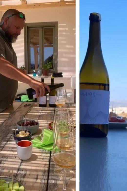 Paros: Wine tasting at Local Winery - Domaine Myrsini: where the vines meet the sea on Paros