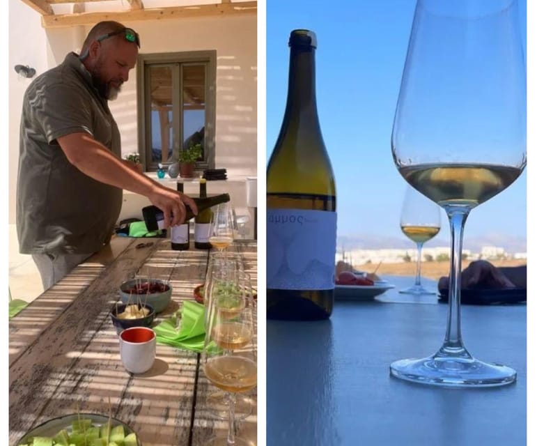 Paros: Wine tasting at Local Winery - The winery visit: short, practical, and rooted in process