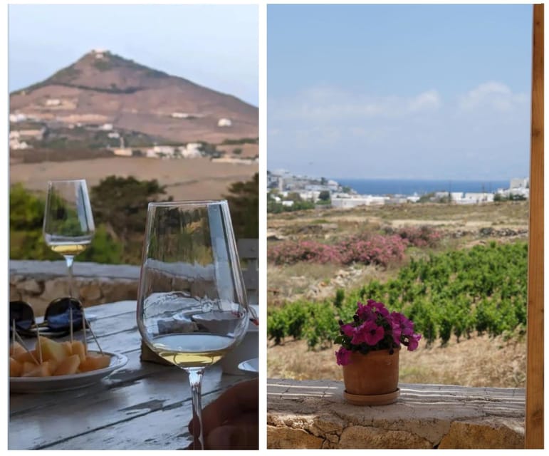 Paros: Wine tasting at Local Winery - Sea-view tranquility: why the setting changes the taste