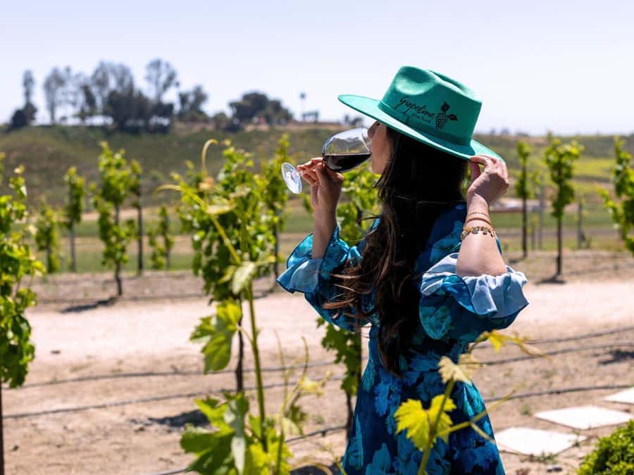 Paso Robles: 3-Winery Tour with Tastings and Lunch - Should You Book This Paso Robles 3-Winery Tour?