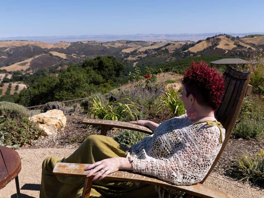 Paso Robles & Atascadero: 3-Winery Tour Including Lunch - Price and logistics: what you’re really paying for