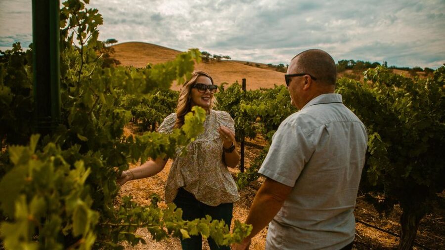 Paso Robles: Scenic Sidecar Vineyard Tour - Key Highlights to Know Before You Go