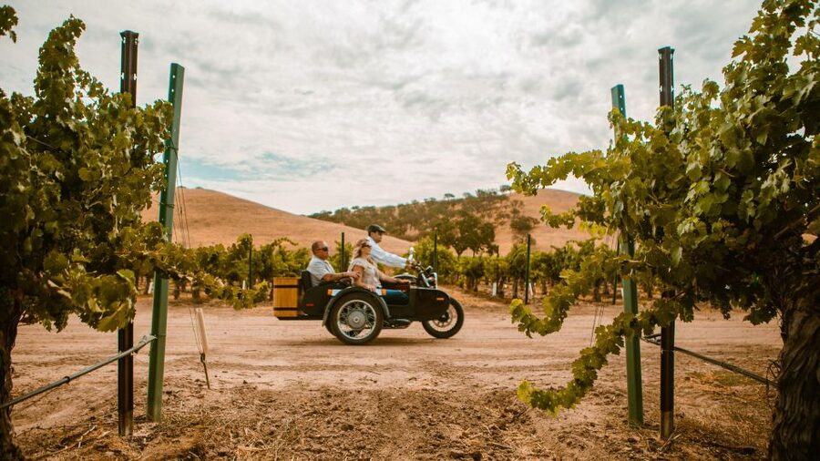 Paso Robles: Scenic Sidecar Vineyard Tour - Should You Book the Paso Robles Scenic Sidecar Vineyard Tour?