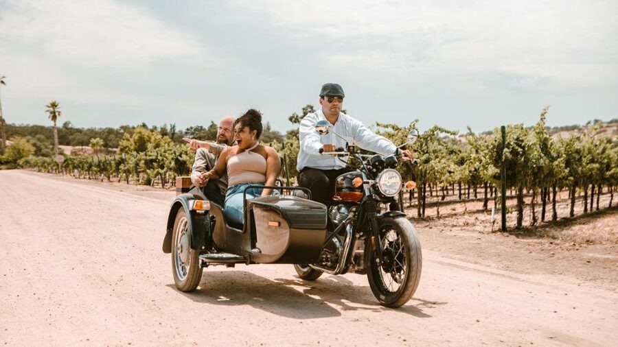 Paso Robles: Scenic Sidecar Vineyard Tour - Stop for Photos and Viewpoints: Where Your Camera Fits In