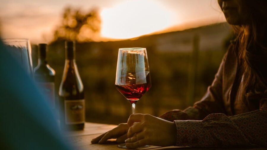 Paso Robles: Vineyard Rides Wine Adventure - Should you book this Paso Robles Vineyard Rides Wine Adventure?