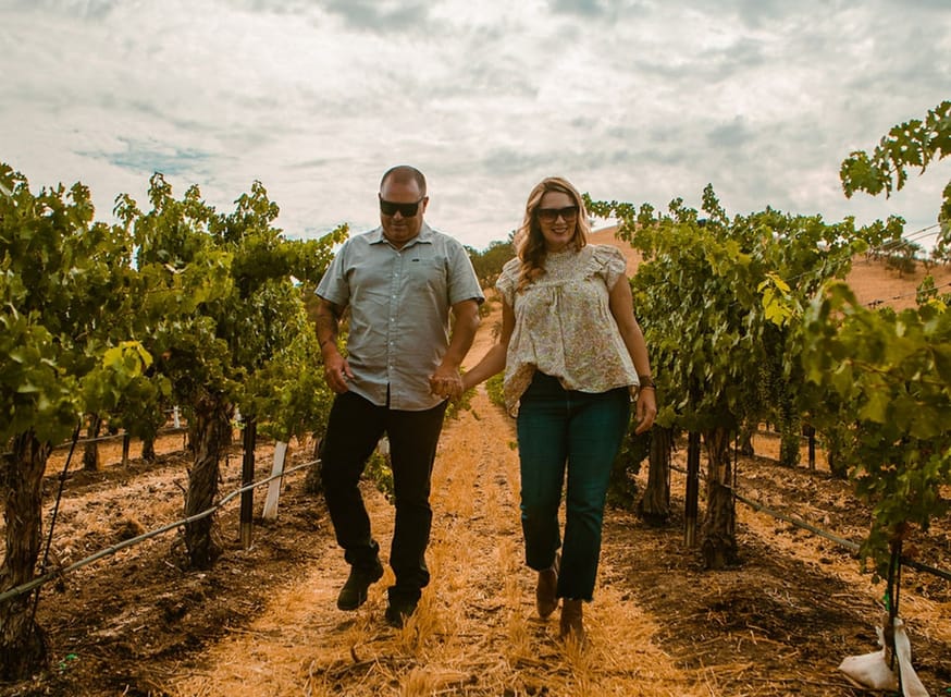 Paso Robles: Vineyard Rides Wine Adventure - Price and logistics: is $89 good value?