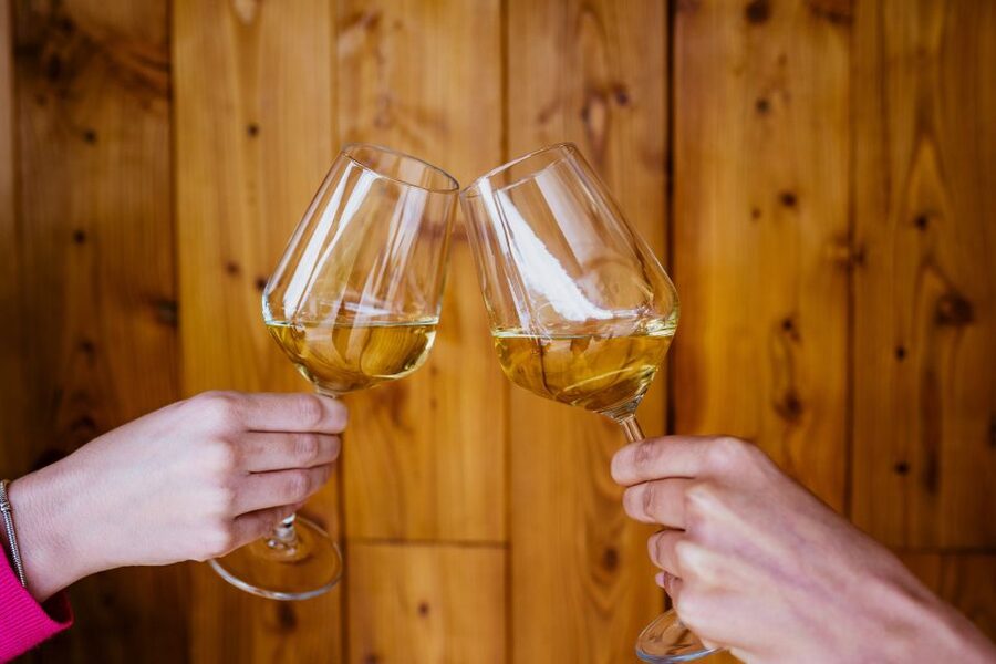 Pelješac wine tasting and local winery visit - Key Things You’ll Like
