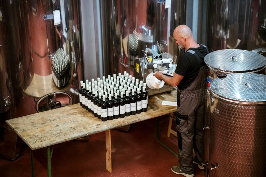 Pelješac wine tasting and local winery visit - What You Taste: Local Wines, Fruit Liqueurs, and a Smart Variety