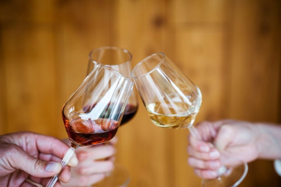 Pelješac wine tasting and local winery visit - Value and Price: Is $43 Worth 90 Minutes?