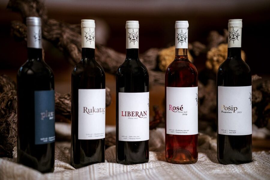 Pelješac wine tasting and local winery visit - Practical Tips for Getting the Most Out of Your Tasting