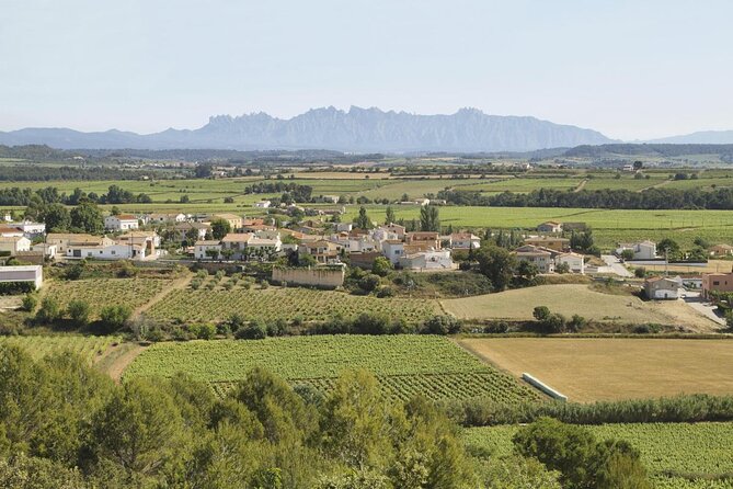 Penedes and Cava Winery Small Group Tour - Key highlights at a glance