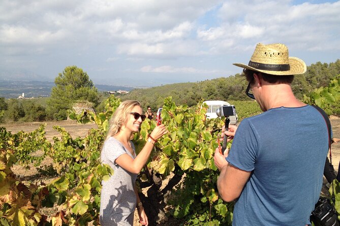 Penedes and Cava Winery Small Group Tour - Organic cava and Corpinnat: what the tastings try to teach you