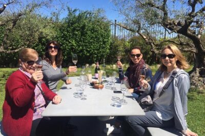 Penedes and Cava Winery Small Group Tour - Sant Sadurní d’Anoia and the 1385 cellar visit