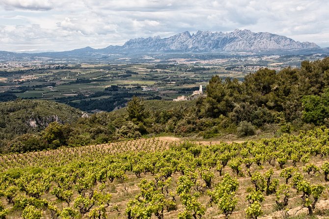 Penedes and Cava Winery Small Group Tour - Tapas pairing: cured meats and cheeses, done for a reason