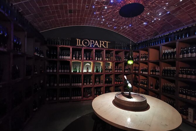 Penedes and Cava Winery Small Group Tour - What to expect during the tour day