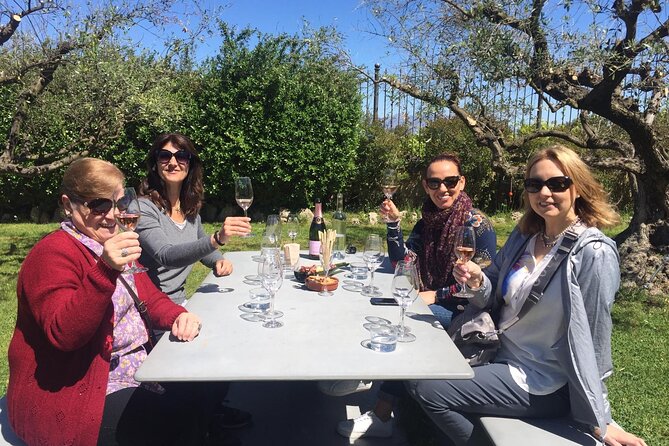 Penedes and Cava Winery Small Group Tour - Sant Sadurní d’Anoia and the 1385 cellar visit