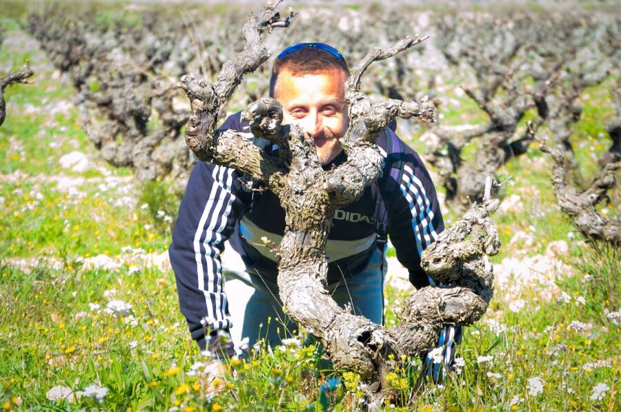 Penedès/BCN: Self-Guided eBike Tour with guided Winery Visit - Key things to know before you go