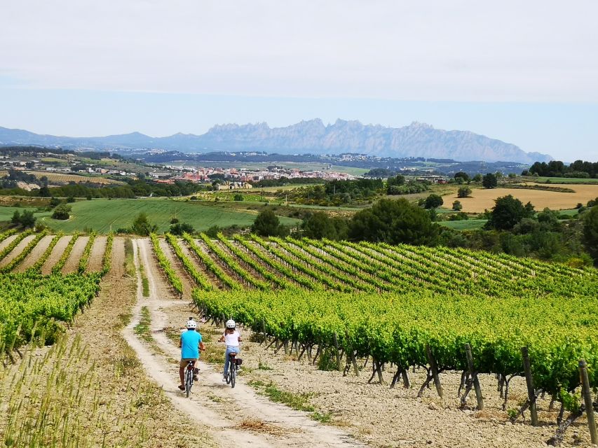 Penedès/BCN: Self-Guided eBike Tour with guided Winery Visit - Bikes, helmets, and the phone-based route (how the day stays easy)