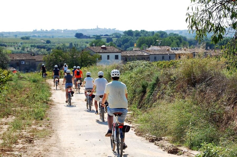 Penedès/BCN: Self-Guided eBike Tour with guided Winery Visit - Riding the Penedès vineyards: quiet lanes, Montserrat views, real breathing room