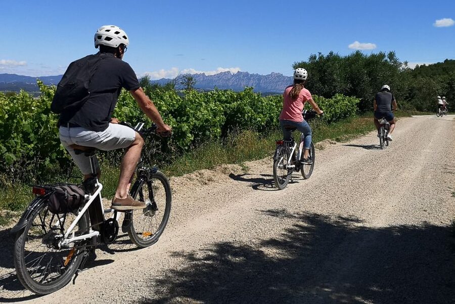 Penedès/BCN: Self-Guided eBike Tour with guided Winery Visit - The timing math: 4 hours, return for the train, and no lingering uncertainty