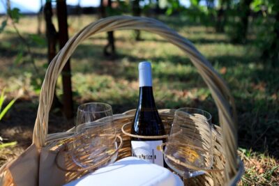 Pic-nic in the vineyard - What’s in your picnic: wine choice plus Castellaro Bistrot snacks