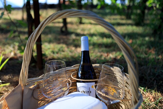 Pic-nic in the vineyard - What’s in your picnic: wine choice plus Castellaro Bistrot snacks
