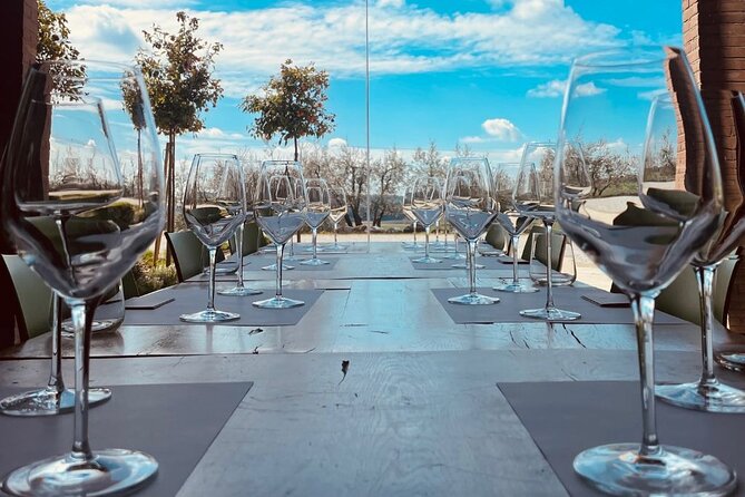 Picnic and Lugana Tour at Perla del Garda winery - Perla del Garda in Lonato del Garda: picnic plus the Lugana connection