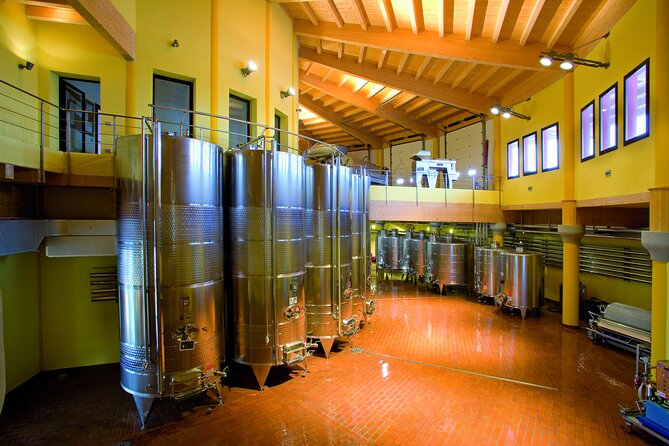 Picnic and Lugana Tour at Perla del Garda winery - Who this tour suits best (and who may want to choose something else)