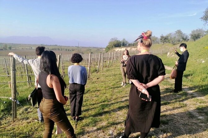 Picnic and Lugana Tour at Perla del Garda winery - Where you meet on Via Fenil Vecchio and how the afternoon flows
